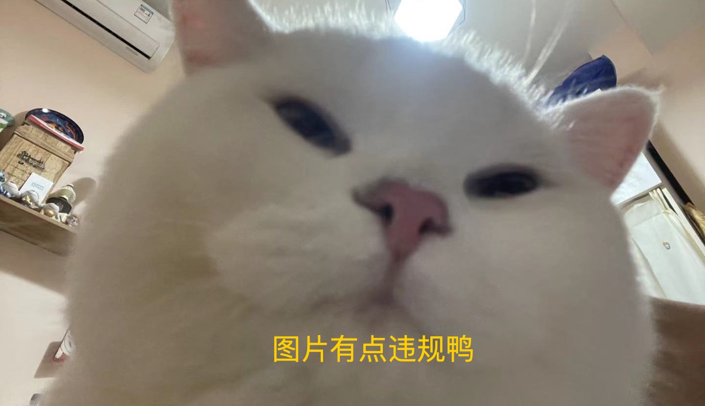 Midea美的电风扇